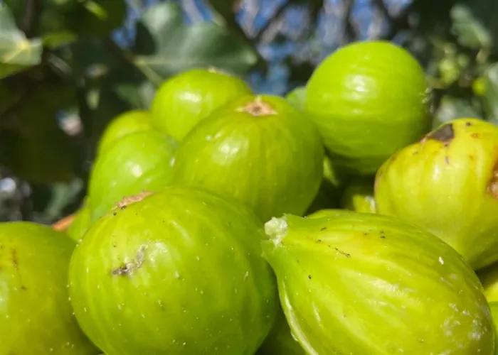 Casa Da Rocha By Pleasantconcept Holiday home *