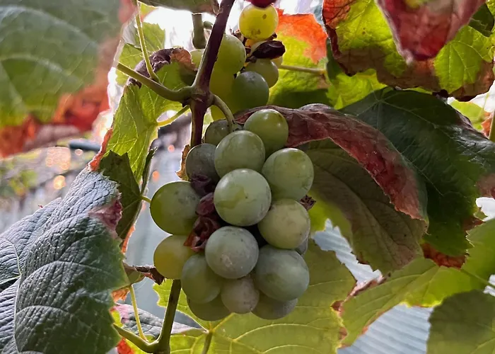 Casa Da Rocha By Pleasantconcept Holiday home *