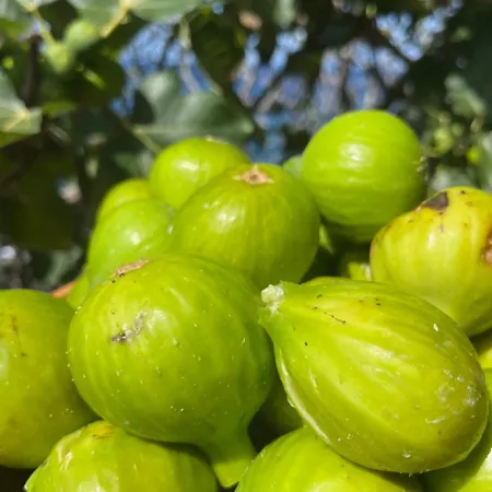 Casa Da Rocha By Pleasantconcept Semesterbostad *