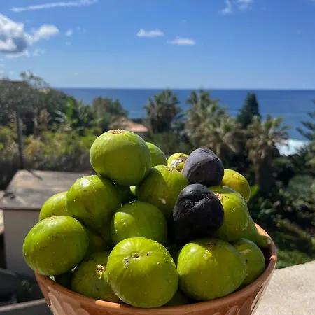 Casa Da Rocha By Pleasantconcept Semesterbostad Santana (Madeira)