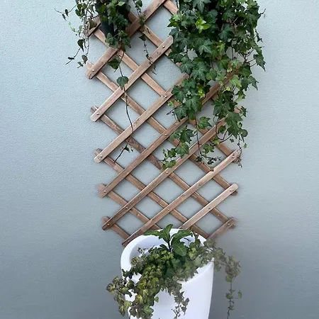 Semesterbostad Casa Da Rocha By Pleasantconcept *