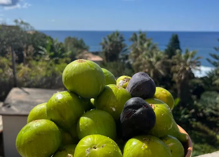 Casa Da Rocha By Pleasantconcept 펜션 산타나